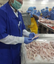 frozen grade a chicken feet - product's photo