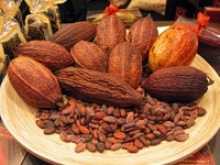  millennium organics llc - product's photo