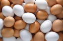 fresh brown eggs - product's photo