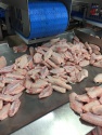 frozen chicken mid wings - product's photo