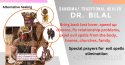 love spells +27648060105 effective love spell caster in centurion, sal - product's photo