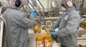 buy halal frozen whole chicken | worlds largest chicken exporters - product's photo