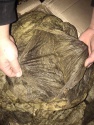 frozen salted beef omasum/tripe - product's photo