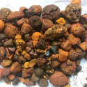 ox gallstones cattle gallstones cow gallstones - product's photo