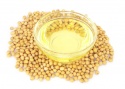 soybean oil - product's photo