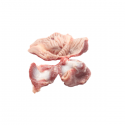 turkey gizzards male and female - product's photo