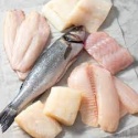 white sand fish - product's photo