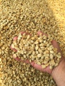 100% kona coffee green - product's photo