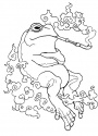 psychedelic toad venom for sale - product's photo