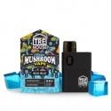 buy dmt mushrooms online - product's photo
