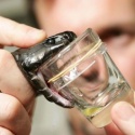 rattlesnake antivenom for sale - product's photo
