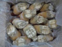 beef feet, cow feet, frozen beef feet short cut - product's photo