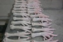 grade a++ frozen chicken feet - product's photo