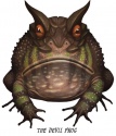 colorado river toad venom for sale  - product's photo