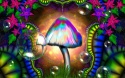 psychedelic magic mushrooms for sale - product's photo