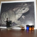 buy psychedelic toad venom online - product's photo