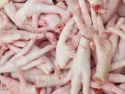 halal whole frozen chicken,chicken feet - product's photo